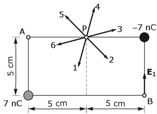 Diagrama de cargas en un rectángulo con puntos A, B, P y vectores de campo numerados del 1 al 6.
