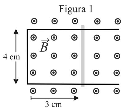 Figura 1: Varilla en reposo a 3 cm del borde en un campo magnético saliente de 4 cm de ancho.