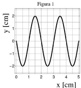 Figura 1: Elongación y (cm) frente a posición x (cm) en t = 0.